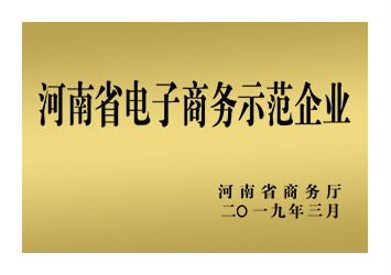 易賽諾榮獲河南省電子商務示范企業(yè)