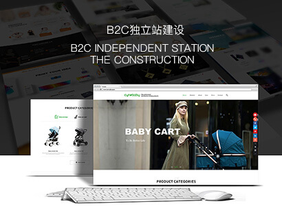B2C獨(dú)立站建設(shè)